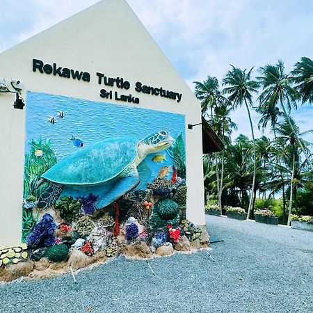 Shine Wave Turtle Beach Tangalle Eksteriør bilde