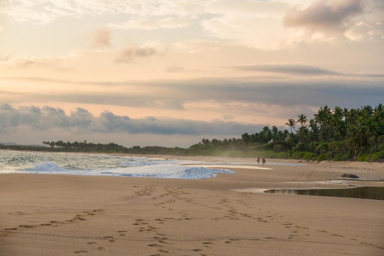 Shine Wave Turtle Beach Tangalle Eksteriør bilde