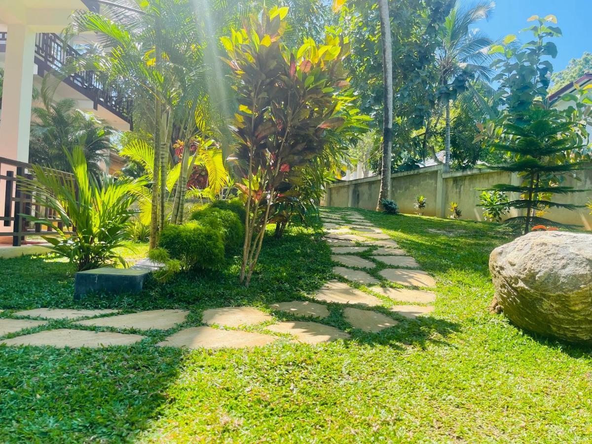 Shine Wave Turtle Beach Tangalle Eksteriør bilde