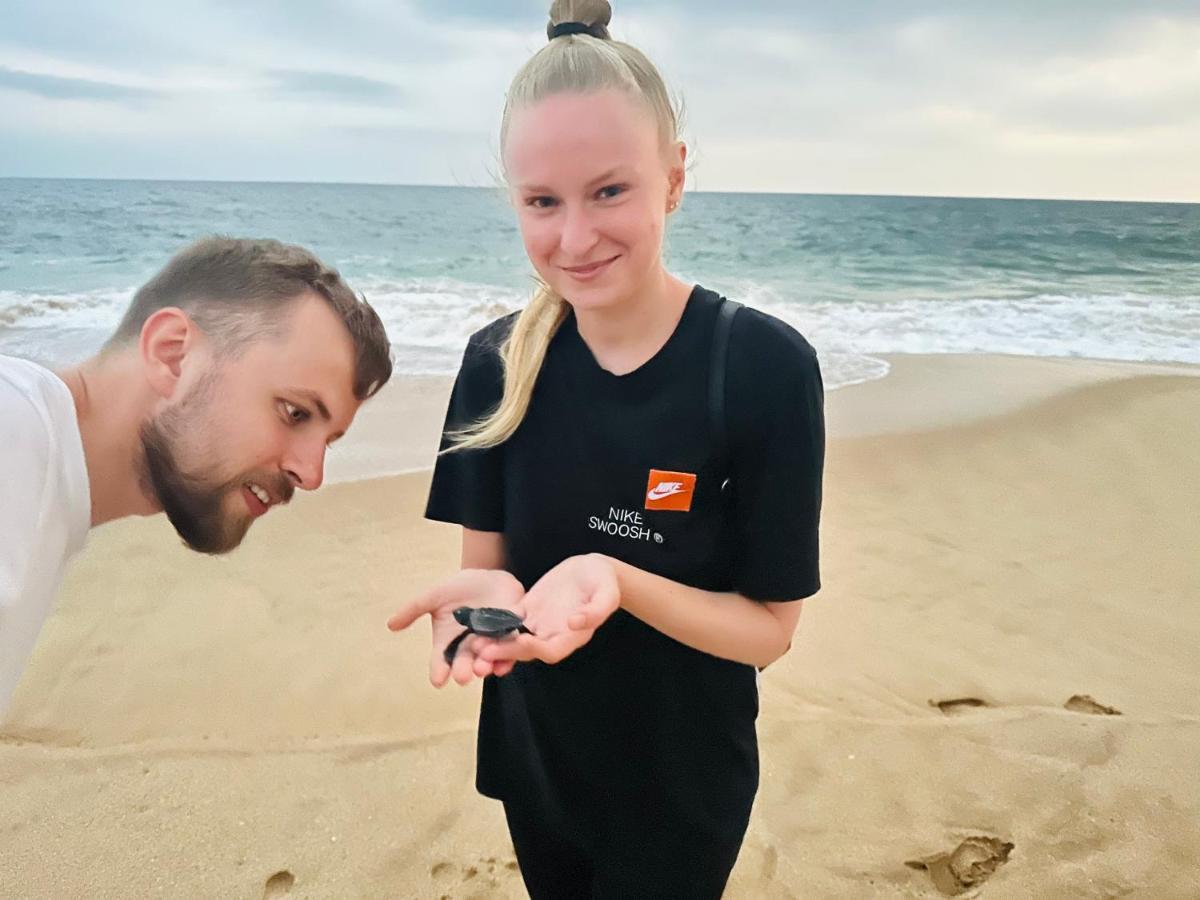 Shine Wave Turtle Beach Tangalle Eksteriør bilde