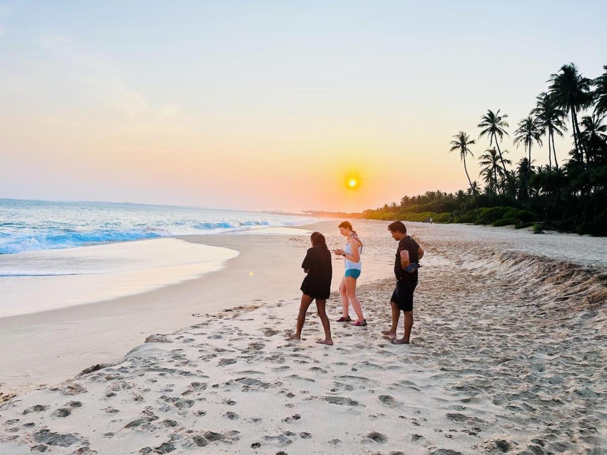 Shine Wave Turtle Beach Tangalle Eksteriør bilde