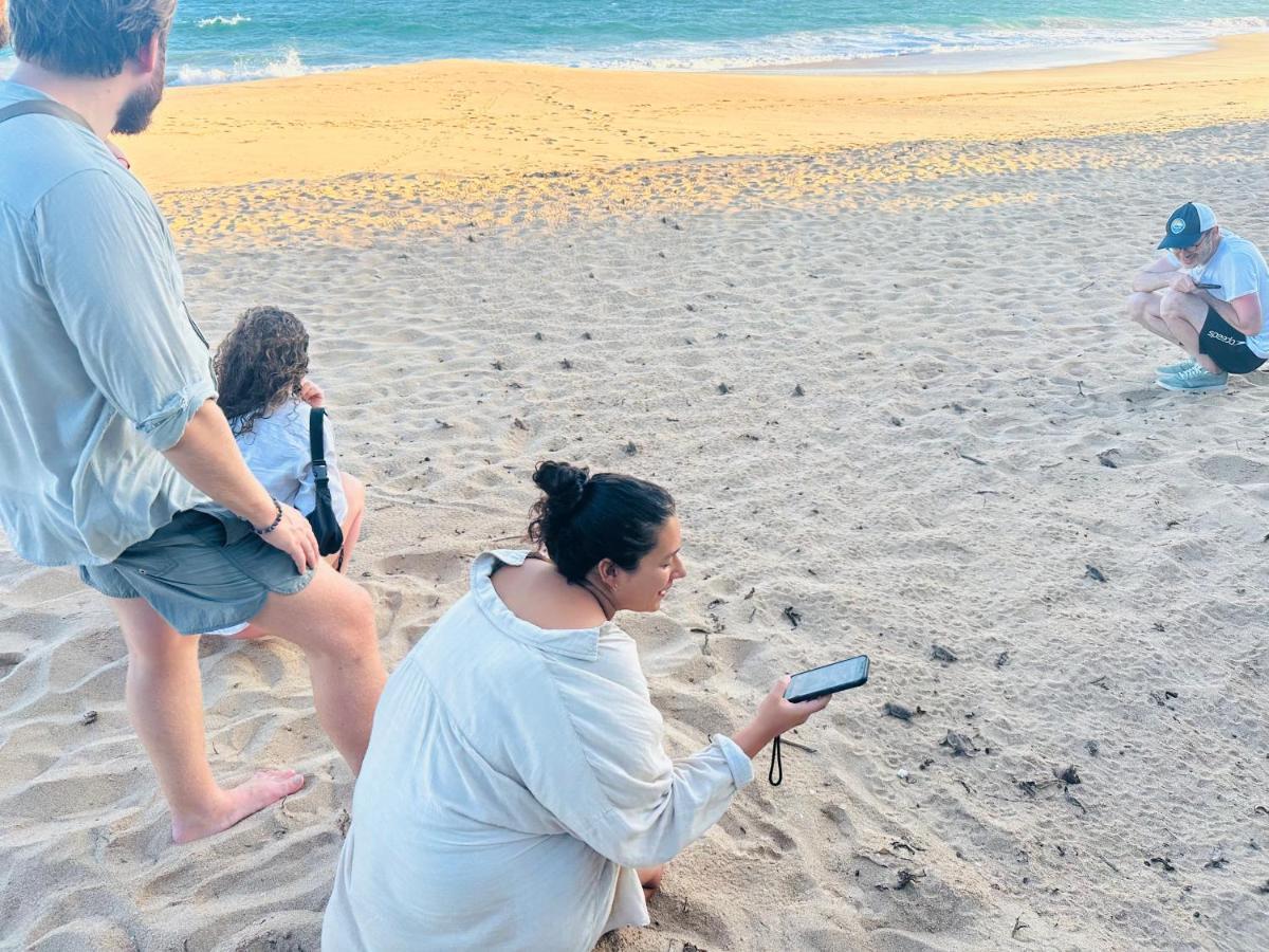 Shine Wave Turtle Beach Tangalle Eksteriør bilde