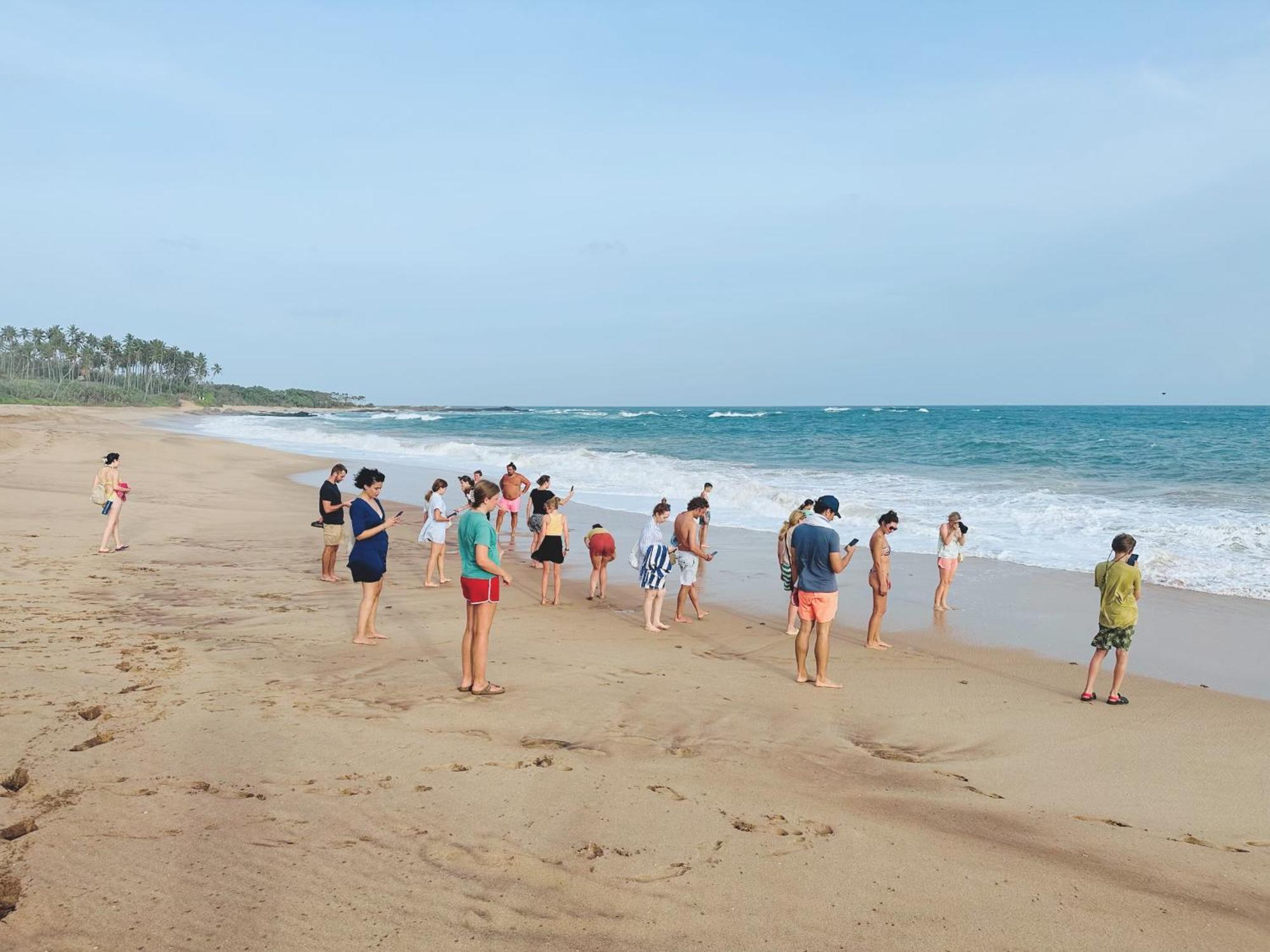 Shine Wave Turtle Beach Tangalle Eksteriør bilde
